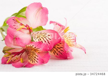 Alstromeria flowers on wooden background 34724468