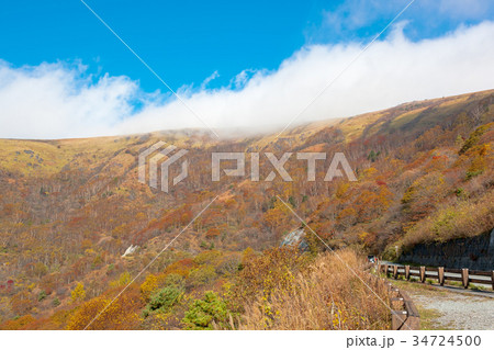 車山高原 10月 紅葉 秋 の写真素材
