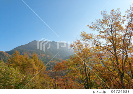 女の神展望台(10月　紅葉　茅野市蓼科町) 34724683
