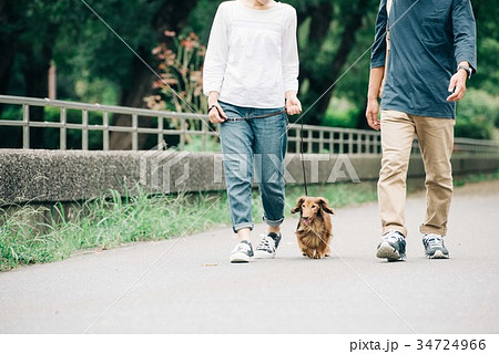 犬の散歩をする日本人夫婦 34724966