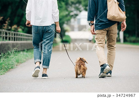 犬の散歩をするミドル夫婦 犬の散歩をするミドル夫婦 34724967