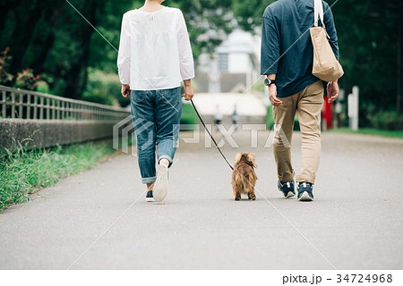 犬の散歩をするミドル夫婦の写真素材