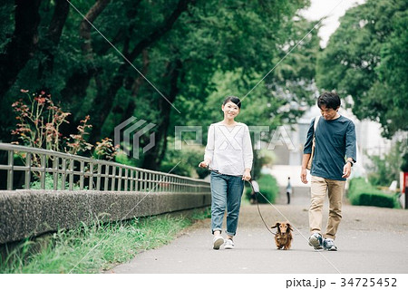 犬の散歩をする日本人夫婦の写真素材