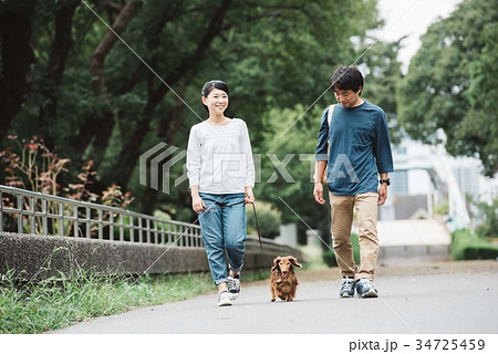 犬の散歩をする日本人夫婦の写真素材