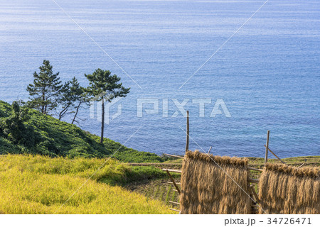 能登半島・白米の千枚田 34726471