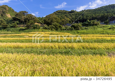能登半島・白米の千枚田 34726495