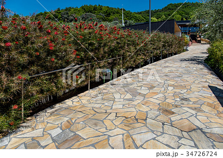 小豆島　オリーブ園のレストランへの道　石畳の坂道 34726724