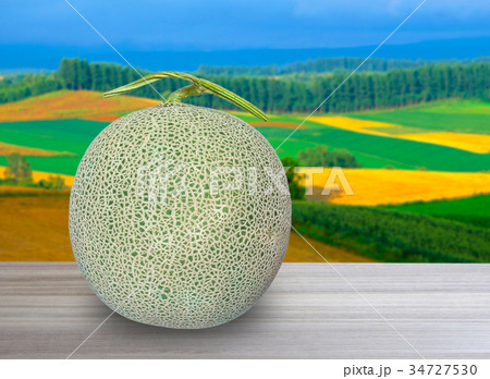 富良野メロン 34727530