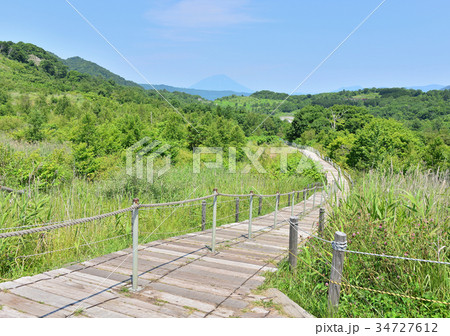 西山山麓火口散策路-188226 34727612