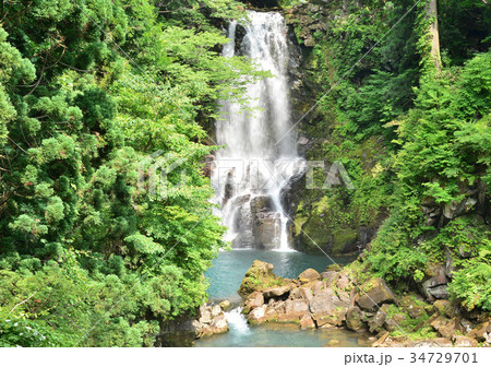 奈曽の白滝-188059 34729701