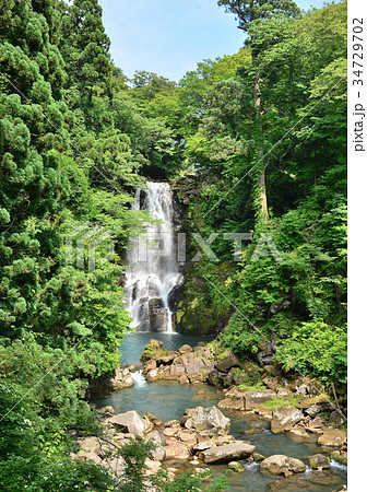 奈曽の白滝-188060 34729702