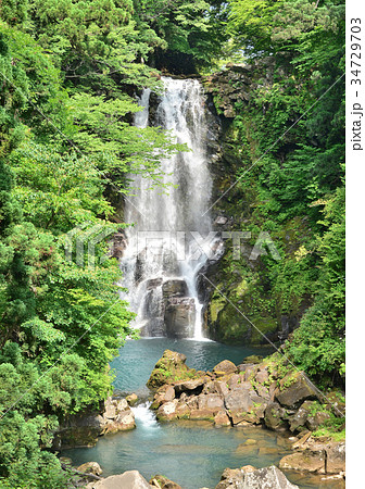 奈曽の白滝-188061 34729703