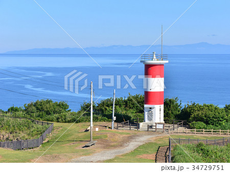 高野崎-188111 34729751