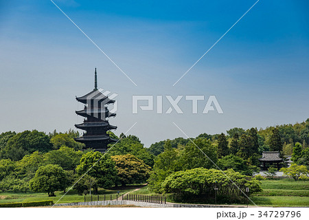 岡山　総社市　初夏の備中国分寺 34729796