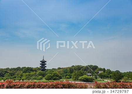 岡山 総社市 赤目の向こうに初夏の備中国分寺 岡山 総社市 赤目の向こうに初夏の備中国分寺 34729797