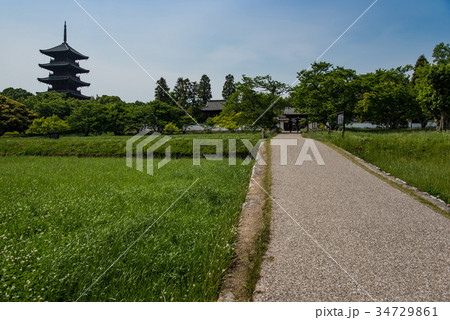岡山　総社市　初夏の備中国分寺　田舎の道 34729861