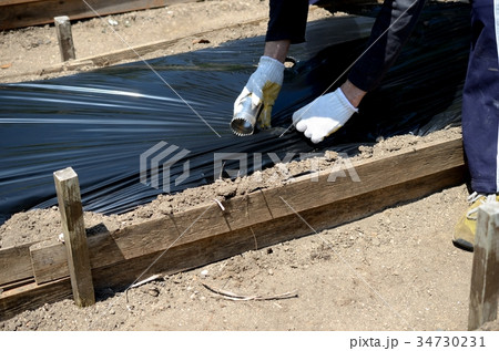 種まき 種まき 34730231