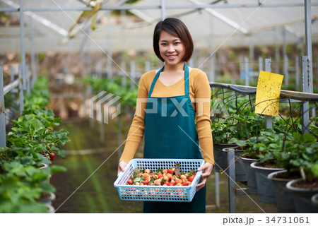 Agriculture Agriculture 34731061