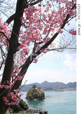 能島城からの瀬戸内の風景 能島城からの瀬戸内の風景 34731524