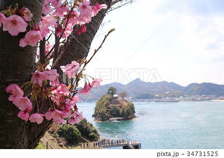 能島城からの瀬戸内の風景 能島城からの瀬戸内の風景 34731525