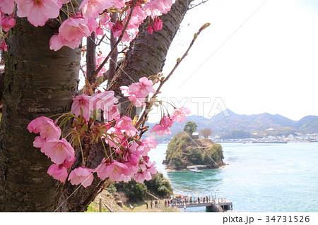 能島城からの瀬戸内の風景 能島城からの瀬戸内の風景 34731526