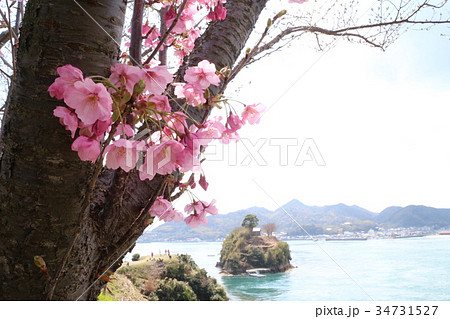能島城からの瀬戸内の風景 能島城からの瀬戸内の風景 34731527