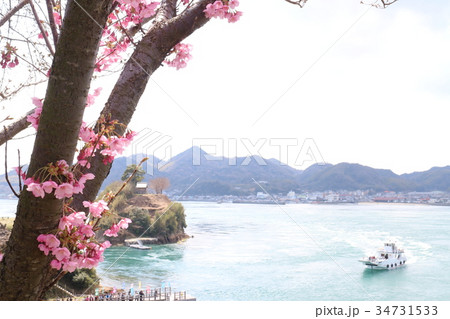 能島城のサクラ 34731533