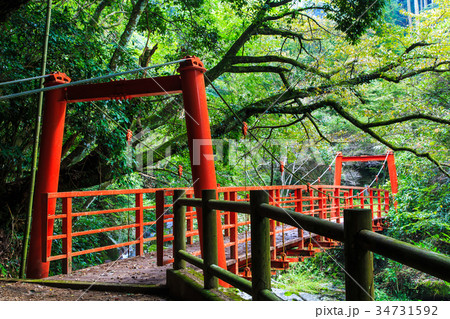 奥梅豆羅の吊り橋 佐賀 七山村 34731592
