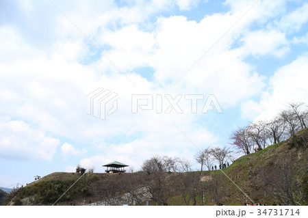 能島から見た瀬戸内の風景 能島から見た瀬戸内の風景 34731714