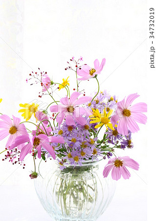 コスモスのフラワーアレンジメント 34732019