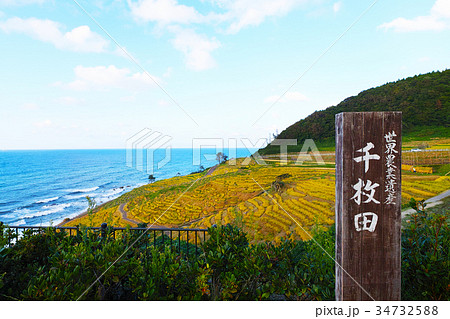 【名勝・世界農業遺産】夕陽を浴びる白米千枚田（案内板）） 34732588