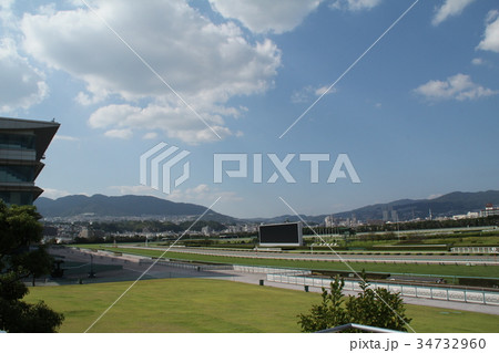 阪神競馬場 34732960