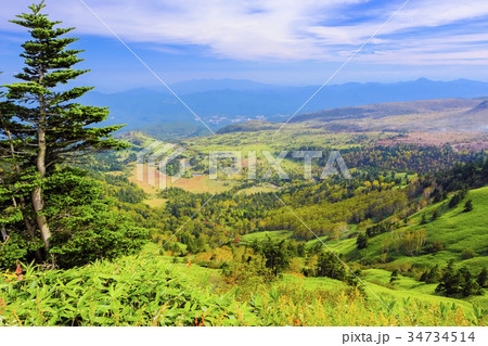 芳が平湿原展望 34734514