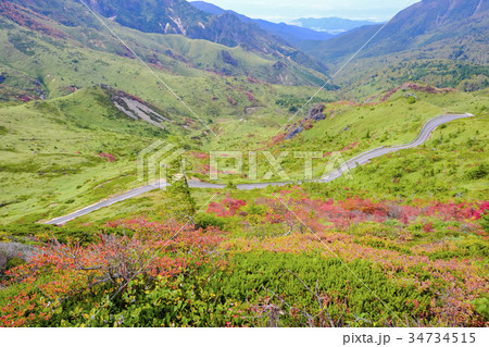 秋の毛無峠 34734515