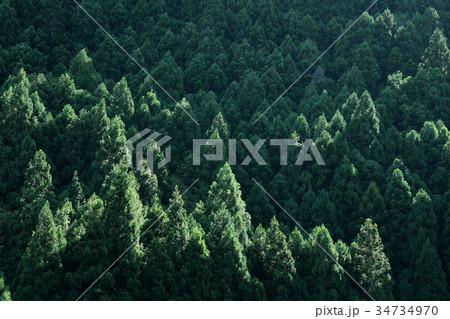 紀伊山地の山林 紀伊山地の山林 34734970