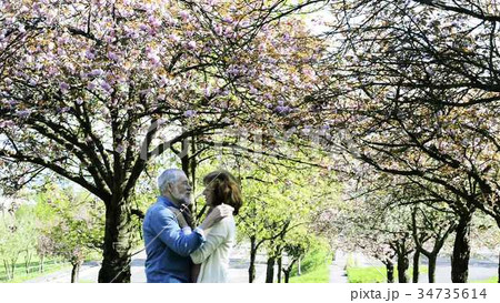 Senior couple hugging under the cherry blossom 34735614