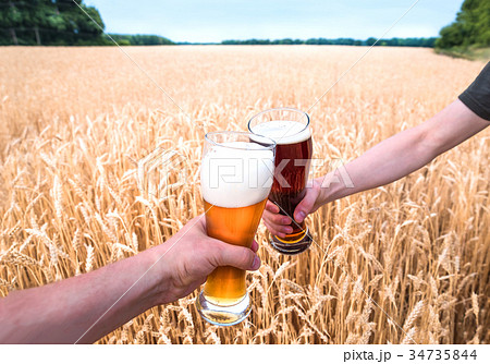 A glass of beer in hand in a wheat field 34735844