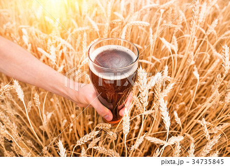 A glass of beer in a hand in a wheat field 34735845