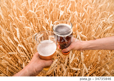 A glass of beer in a hand in a wheat field 34735846