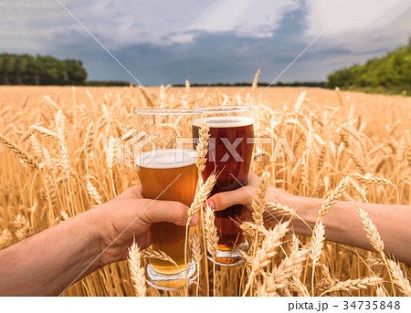 A glass of beer in hand in a wheat field 34735848