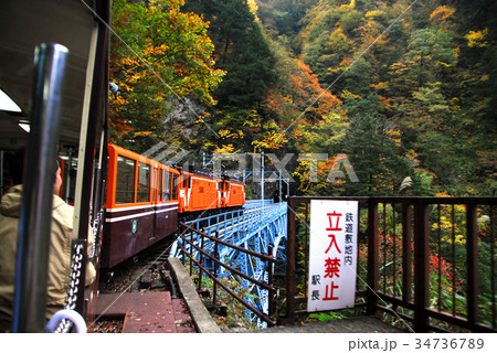 紅葉の黒部峡谷トロッコ電車からの車窓の写真素材