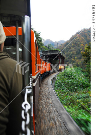 紅葉の黒部峡谷トロッコ電車からの車窓 34736791