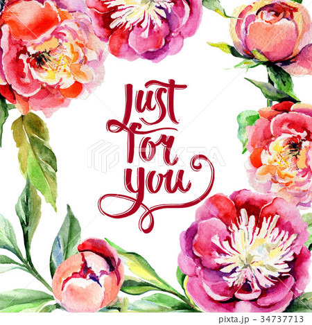 Wildflower peony flower frame in a watercolor Wildflower peony flower frame in a watercolor 34737713
