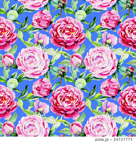 Wildflower peony flower pattern in a watercolor 34737775
