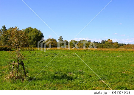 茨戸川緑地 34737913