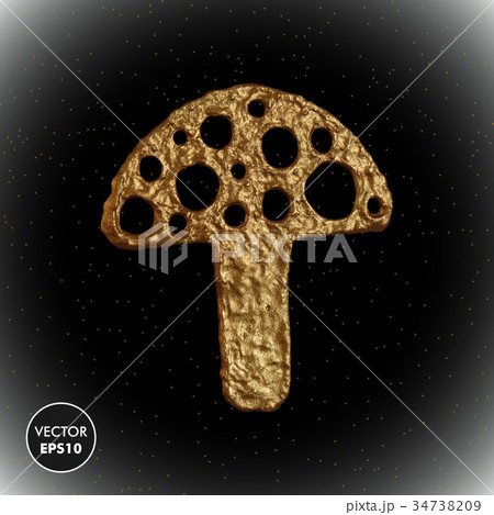 Gold mushroom vector illustration. Golden amanita. 34738209