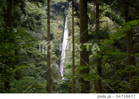 洒水の滝 34739677