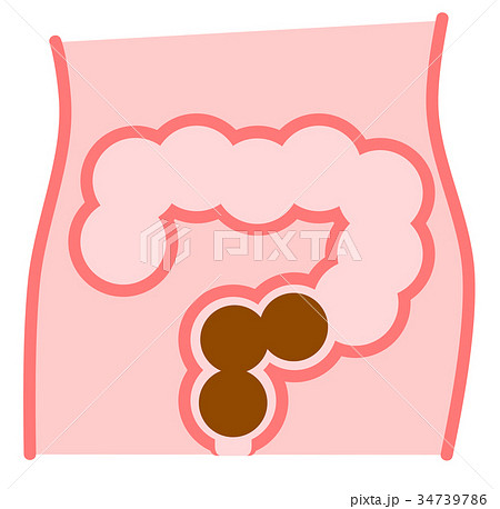 腸内のイラスト 34739786