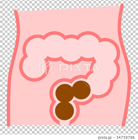 腸内のイラスト 34739786