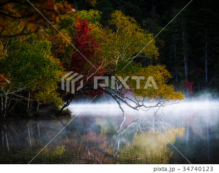 オンネトーの紅葉 34740123